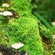 巴菲特：未来五年或将迎来现金配置良机