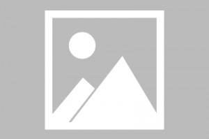 玲珑轮胎：公司没有改名计划