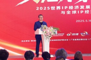 新浪财经CEO邓庆旭：IP产业已成为文化传媒赛道的新质生产力