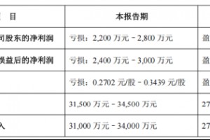 声迅股份2024年营收“大跳水”，投资者索赔箭在弦上